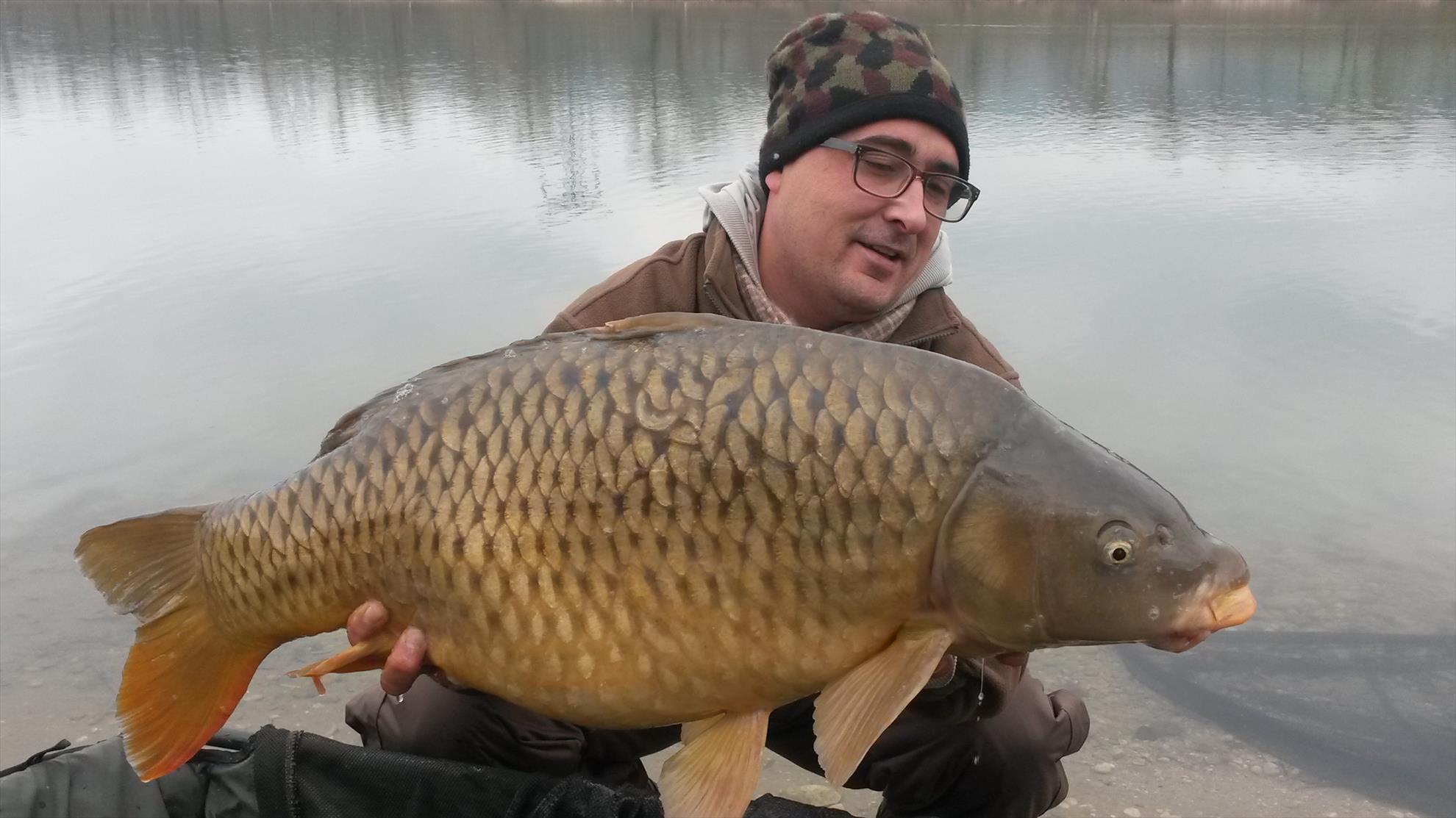 regiune Rhône-Alpes 26 noiembrie 2015 - 20151124130120.jpg